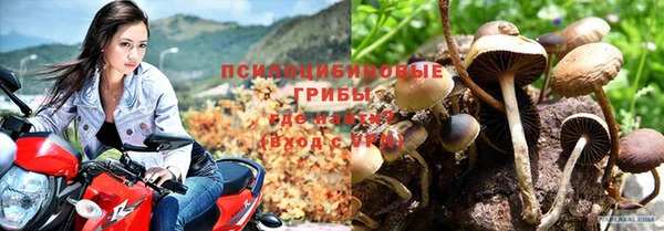 каннабис Дмитров