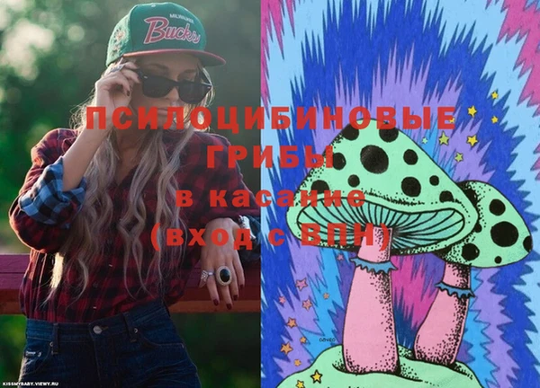 дмт Дмитриев