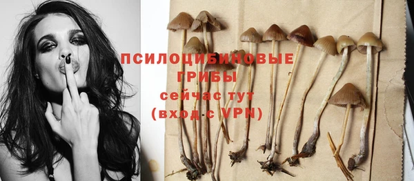 каннабис Дмитров