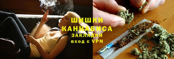 дмт Дмитриев